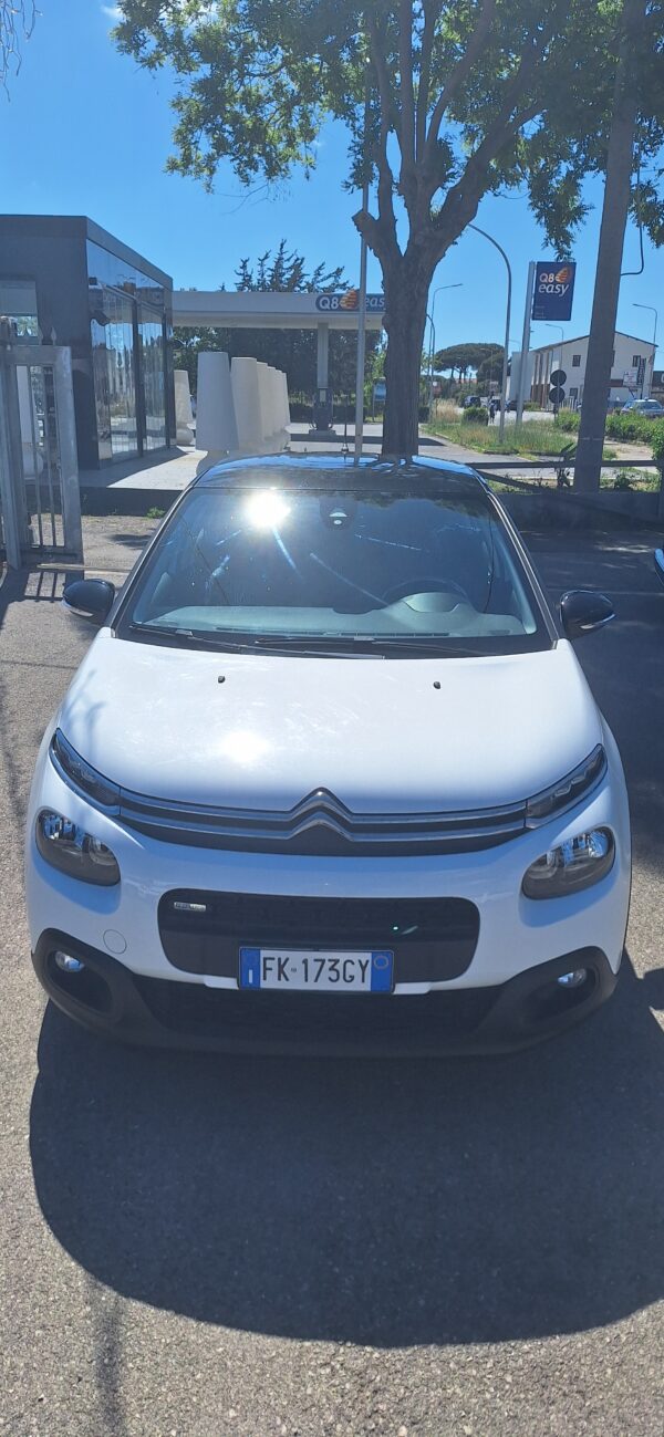 Citreon C3 - immagine 3