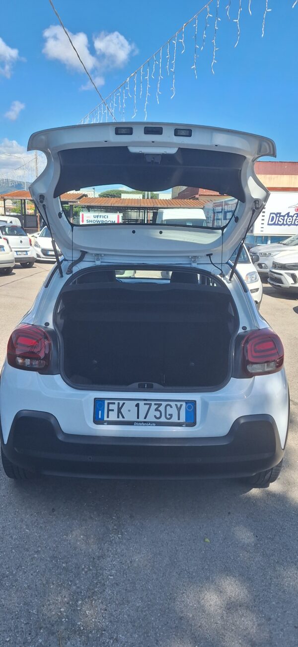 Citreon C3 - immagine 12